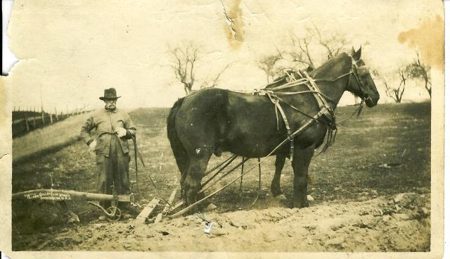 a e hilton gephard horses