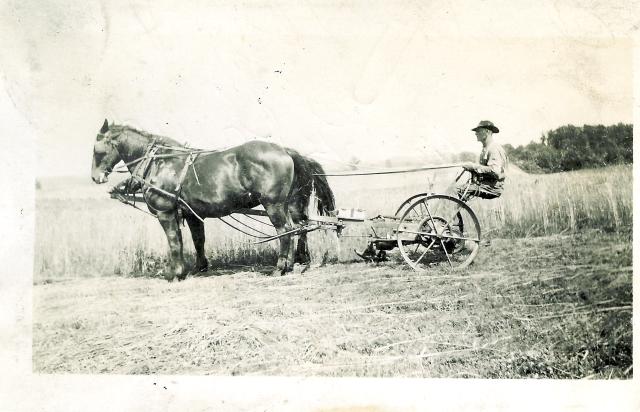 charlie gephard my father