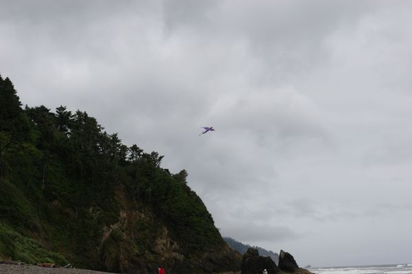 IMG_0699